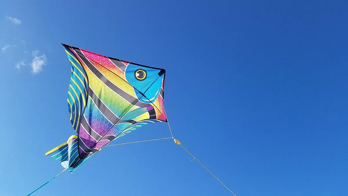 Single-Line vs Dual-Line vs Quad-Line Kites: What's the Difference?